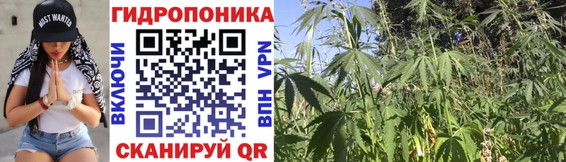 Купить наркоту Трёхгорный Cocaine МЕФ A PVP omg как войти Марихуана
