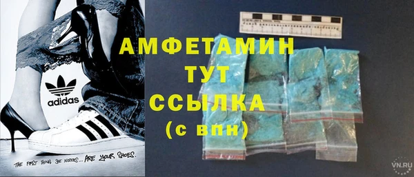 сатива Абаза