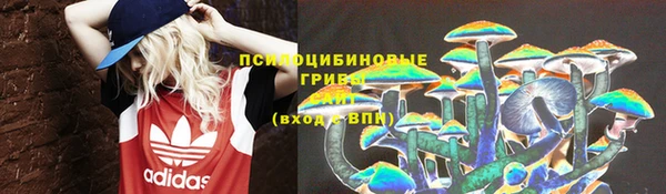 сатива Абаза