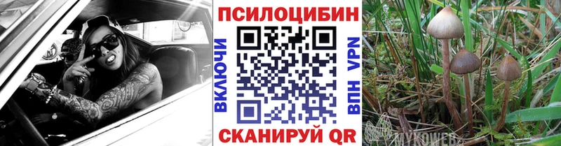 Галлюциногенные грибы прущие грибы  даркнет сайт  Трёхгорный 